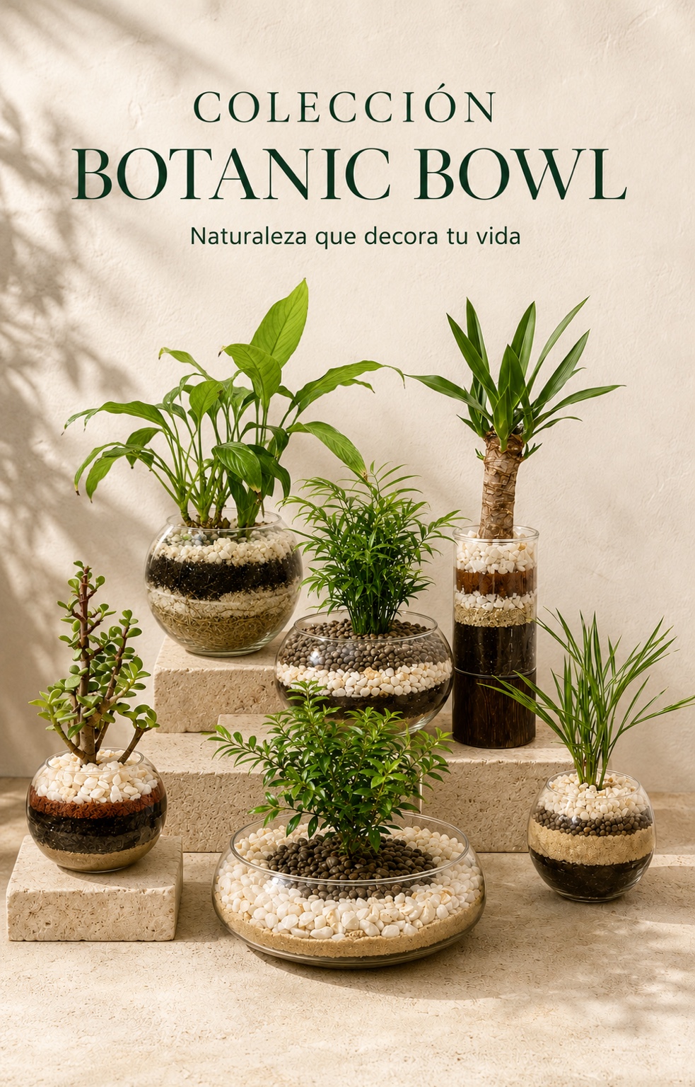 Colección de plantas Botanic Bowl en bowls de vidrio