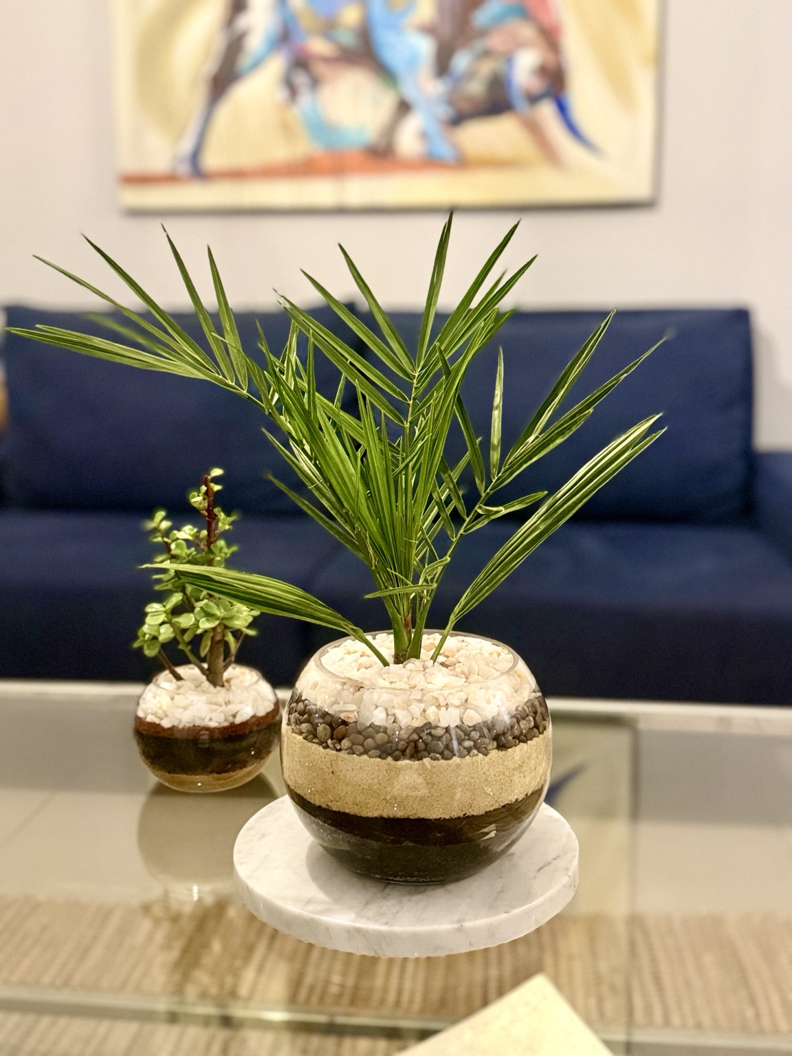 Planta natural en bowl de vidrio presentada como regalo con dedicatoria